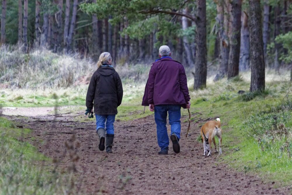 Could becoming a home and pet sitter boost your retirement income?