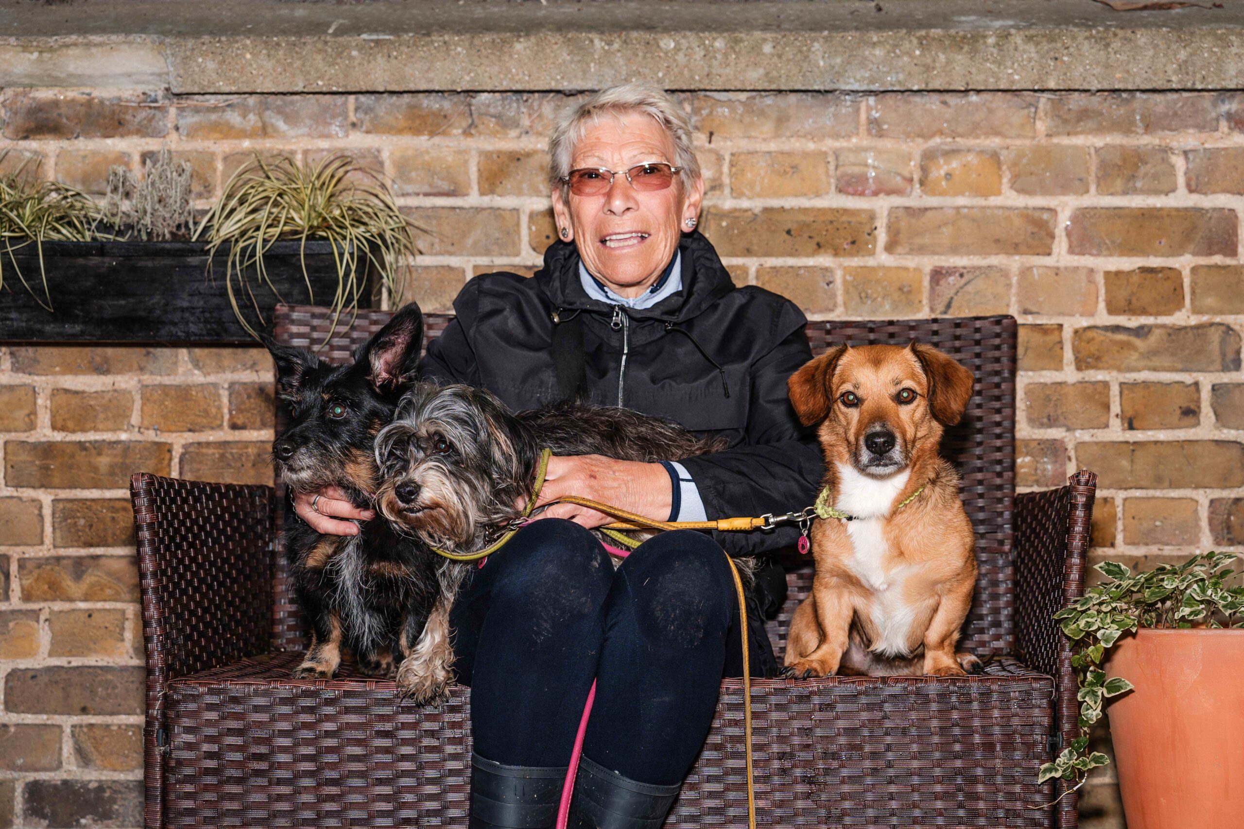 How women can retire with purpose by embracing a new homesitting career
