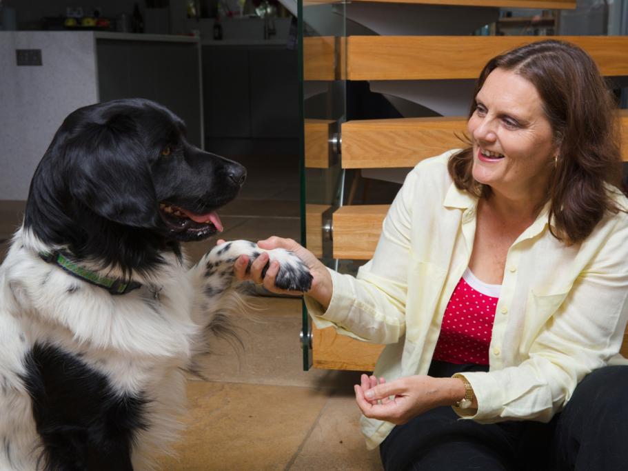 Homesitters launches recruitment drive ahead of peak summer season