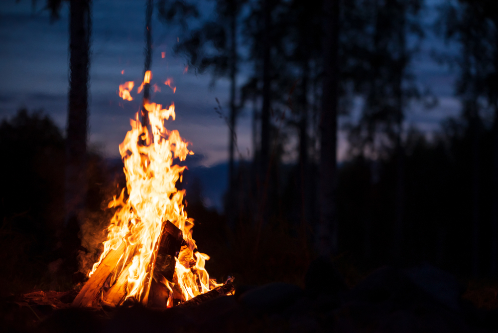 A Guide to Choosing the Best Campfire Wood – What’s Best to Burn?